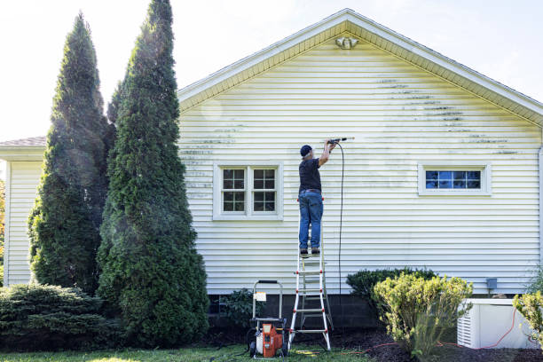 Best Commercial Building Pressure Washing  in Mead Valley, CA